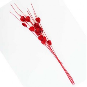 Ramo cora&ccedil;&otilde;es